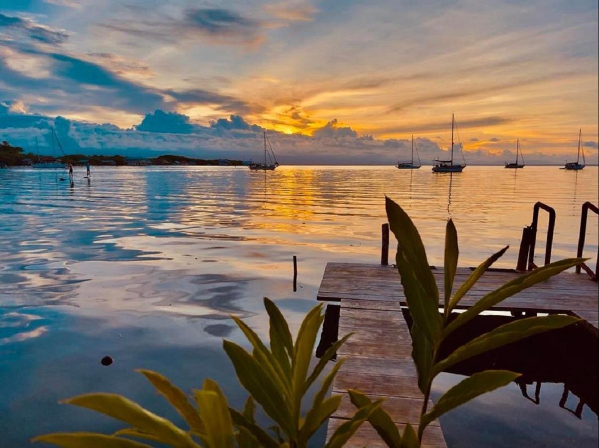 Villa Amaya Bocas del Toro Extérieur photo